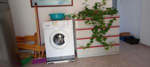 a washing machine in a room with a plant at Balcony to Aegeon 3 in Apollon