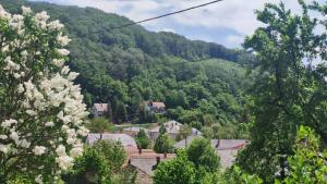 uma vista para uma montanha com casas e árvores em Vadmacska apartman em Bükkszentkereszt