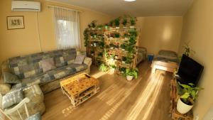 uma sala de estar com um sofá e uma prateleira com plantas em Sweet Home Apartment em Maribor