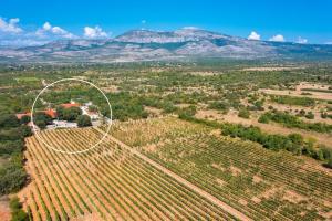 an aerial view of a vineyard with a house and mountains at Tosic Estate - Villa, Vineyards and Winery in Razvođe