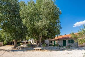 a group of picnic tables under trees in front of a building at Tosic Estate - Villa, Vineyards and Winery in Razvođe