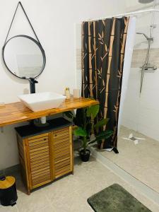 bagno con lavandino, specchio e doccia di Le C'Zam a Tsingoni
