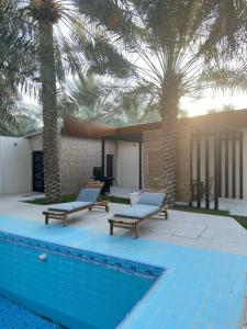 a swimming pool with two lounge chairs and palm trees at منتجع ريتام in Al Ahsa