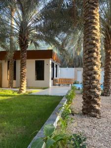 a house with two palm trees in the yard at منتجع ريتام in Al Ahsa