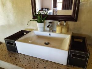 - Baño con lavabo, espejo y planta en Selwane Nature Reserve en Gravelotte