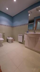 a bathroom with a sink and a toilet at Chalet Aia -Naturaleza y seguridad, entorno rural a 29 km de San Sebastian in Aia