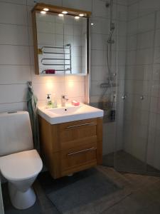 a bathroom with a toilet and a sink and a shower at Coolt Oxie in Oxie