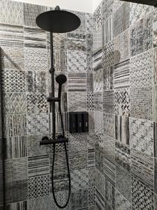 a shower in a bathroom with a tiled wall at Le Q'vier in Montbéliard +15 photos