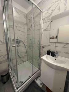 a bathroom with a shower and a sink at GREENSIDE Apartment Work&Travel Nähe Weinheim, HD, MA in Birkenau +17 photos
