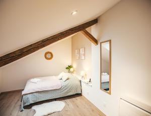 a bedroom with a bed and a large mirror at Coeur de Rêve - 5min hypercentre in Troyes