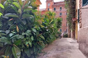 alejka z roślinami na boku budynku w obiekcie Grazioso Bilocale vicino al Vaticano w Rzymie