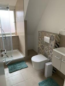 a bathroom with a shower and a toilet and a sink at Hofesh in Altdorf