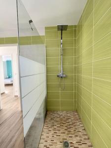 a bathroom with a shower with green walls at 3102-Villa 6 couchages avec piscine in Elne