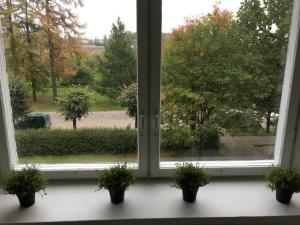 PriekuļiにあるFox Apartments - Pie Lapsasの窓枠に鉢植えの植物が三本並ぶ窓