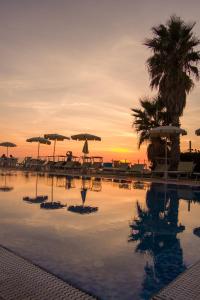 a pool with umbrellas and chairs and a palm tree at Hotel Albatros in Ischia