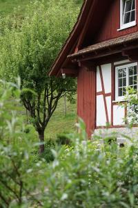 Zahrada ubytování Haus Wiesenruhe