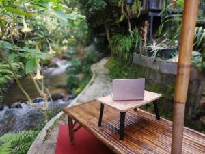 a laptop sitting on a wooden bench next to a stream at แม่อุ๊ยโฮมสเตย์&mae uai homestay in Ban Pok Nai