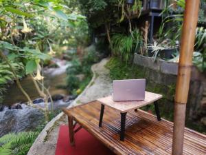 Landskap semula jadi dekat dengan homestay