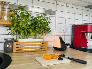 Gallery image of City Park Apartment in Vilnius