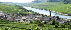 uma cidade num vale com um rio e uma aldeia em Weingut-Ferienwohnung Heinz Dostert em Nittel
