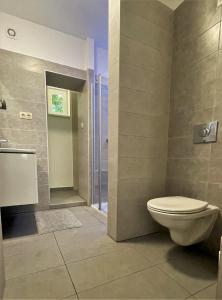 a bathroom with a toilet and a shower at Ózon Apartman in Kaposvár