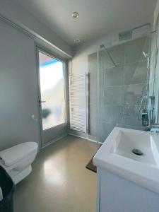 Kúpeľňa v ubytovaní ZAGREB HOUSE MEDVEŠČINA/WITH POOL + 18 fotografií