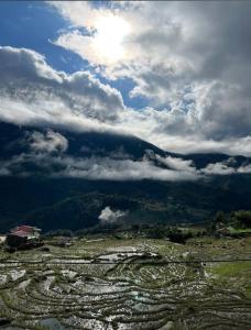 uma vista para um campo com um céu nublado em Hmong Wooden Home em Sapa