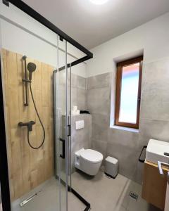 een badkamer met een douche, een toilet en een wastafel bij Casa Forrest & SPA in Muntele Săcelului
