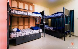 two bunk beds in a room with blue beds at Zostel Mysore in Mysore