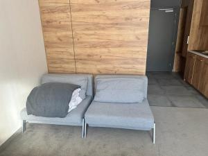 a living room with two chairs and a couch at RentResidence apartament in Sienna +40 photos