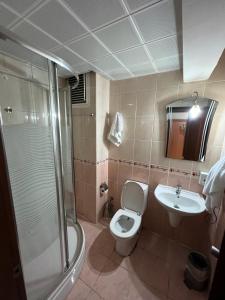 uma casa de banho com um WC, um lavatório e um chuveiro em Altinnal Hotel em Cocaeli