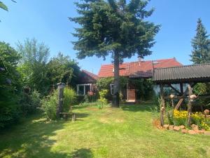 a house with a tree in the yard at Spreewaldferienwohnungen Stein - Ferienhaus Bela Górka in Byhleguhre-Byhlen