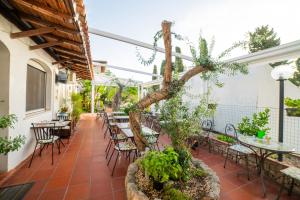 an outdoor patio with tables and chairs and a tree at Taormina Garden Hotel in Taormina