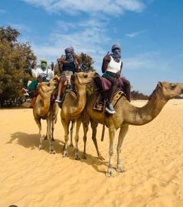 un grupo de personas montando en camellos en el desierto en Villa sokhna ndeye mbacke, en Dakar