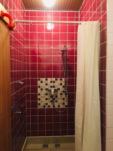 a bathroom with a red tiled shower with a shower curtain at Ferienwohnung mit Sauna Reiterhof barrierefrei in Lichtenau