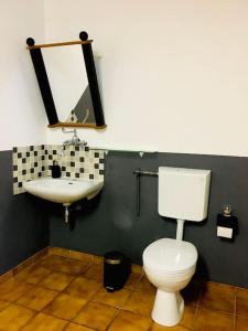 a bathroom with a white toilet and a sink at Ferienwohnung mit Sauna Reiterhof barrierefrei in Lichtenau
