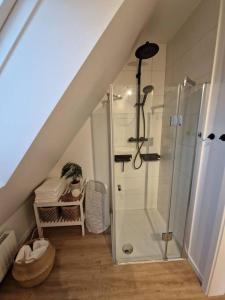 ein Bad mit einer ebenerdigen Dusche unter einer Treppe in der Unterkunft Voll ausgestattetes 2 Zimmer Apartment Sanssouci in Osnabrück