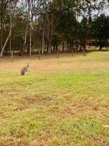 Gallery image of Luxury and cosy family retreat in Carbrook