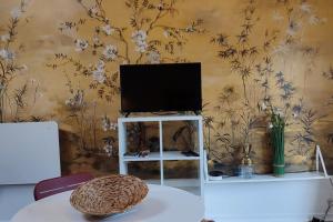 un televisor sentado en una mesa en una habitación en Maisonnette 2/4 Pers-Jardin-Calme-Parking gratuit, en Billère