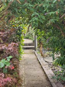 a path through a garden with trees and plants at Fife House - Welcome Short Stays in Derby
