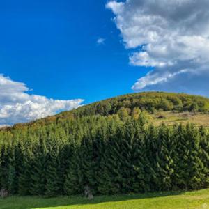 a green hill with trees on top of it at Dome Home Tents Taor in Valjevo