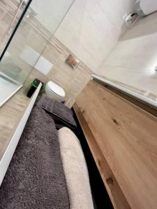 uma casa de banho com WC e um tapete no chão em Appartement Louise em Le Havre
