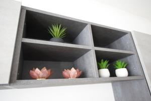 a shelf with four potted plants in it at Suite Art Padova Centro in Padova