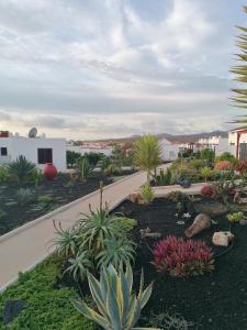 einen Garten mit Kakteen und Pflanzen auf einem Hof in der Unterkunft Casa Naturaleza 2 in Caleta de Fuste