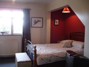 a bedroom with a large bed with a red wall at Five Saints Farmhouse B&B in Pumpsaint