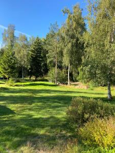 un champ d'herbe verte avec des arbres en arrière-plan dans l'établissement A cosy cottage in Norrtälje, à Norrtälje