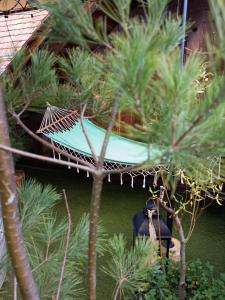 a hammock in a garden with palm trees at Hiša Ida in Ivančna Gorica
