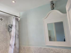 a bathroom with a mirror and a shower at LITTLE HAVEN 1 Bedroom House sought after area in Topsham