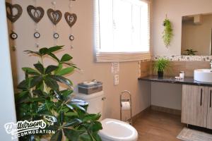 ダルストロアームにあるMisty View Apartmentsのバスルーム(トイレ、植物付) +49枚の写真