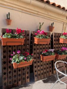 a bunch of flowers in pots on a wall at CASA DE LA BODEGA in Espluga de Francolí